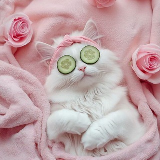 Логотип @thehousefairy - Дневник домашней феи 🤍🩷