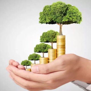 Логотип @theinvestings - The investing