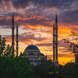 Логотип @thelandofheroes - Visit Chechnya