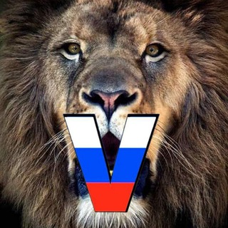 Логотип @thelionsoftiktok - Львы тик тока (@johnny_best_leo)