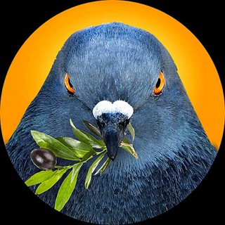 Логотип @thelogicofwar - Логика войны