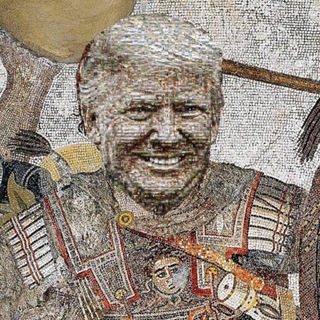 Логотип @themagadonia - THE MAGADONIA🇺🇸