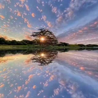 Логотип @themajestyofterramater - ELYSIVM