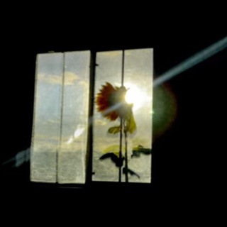 Логотип @themaxlish - maxlish