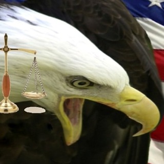 Логотип @themcfiles - The McFiles News and Faith Network