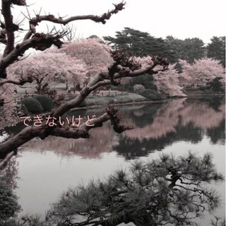 Логотип @themdlatg - Темы на айфон