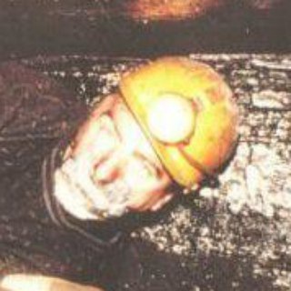 Логотип @themememines - The Meme Mines™