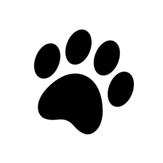 Логотип @themeowchannel - The Meow