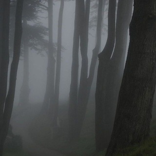 Логотип @themessinmyhead - 26