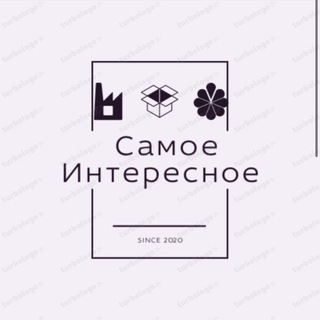 Логотип @themostinteresting01 - Самое Интересное