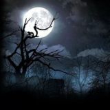 Логотип @themysticalstories - Мистические истории реальных людей.