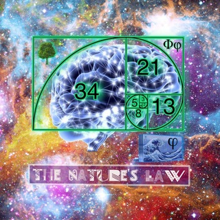 Логотип @thenaturelaw - 🌀The Nature law🌻