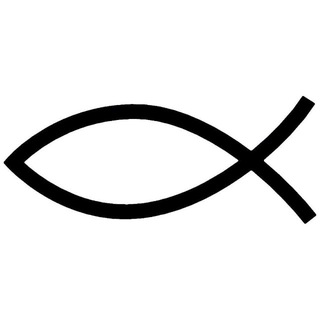 Логотип @thenaturereligions - The nature of religions