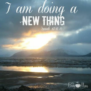 Логотип @thenewthingforyou - THE NEW THING FOR YOU