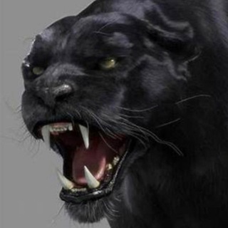 Логотип @theofficialsantino - SANTINQ