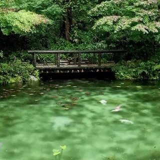 Логотип @theoldpoetschat - air