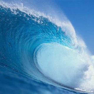 Логотип @theplanilcambiamento - THE PLAN - IL CAMBIAMENTO