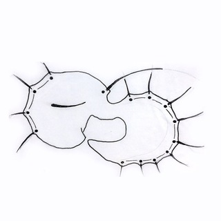 Логотип @theplatypussays - утконос говорит