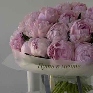 Логотип @thepowerofdiscipline - Путь к мечте | Мотивация