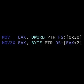 Логотип @theprogrammingartgruppo - Assembly & Reverse Engineering [ITA]