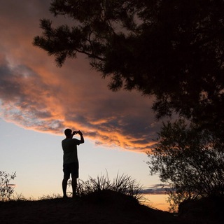 Логотип @theqwrty - the.qwerty