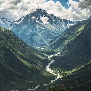 Логотип @therealcaucas - Кавказский пленник ™