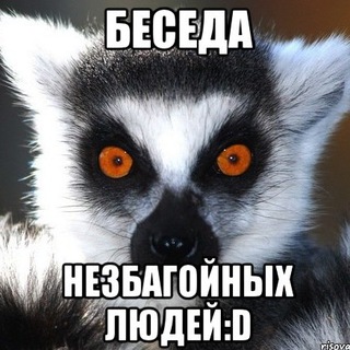 Логотип @theshelteroftheinsane - ⎝ПᎮиюϯ Бѐʓӱмԋыӿ⎠