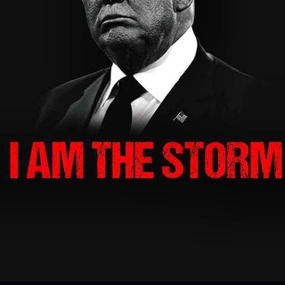 Логотип @thestormuponus17 - The Storm Is Upon Us17