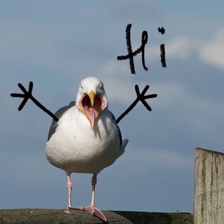 Логотип @thesystemaenglish - Английский АВТОМАТОМ