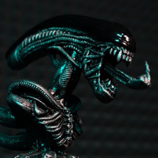 Логотип @thethujoy - THUJOY