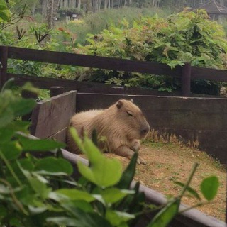 Логотип @theuniverseofmine - шлях 🇺🇦 | #УкрТґ