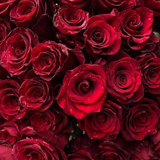 Логотип @thevalachi - M