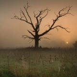 Логотип @theveilofignorance - The Veil Of Ignorance