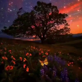 Логотип @thewholeworldisforyou - World is for you