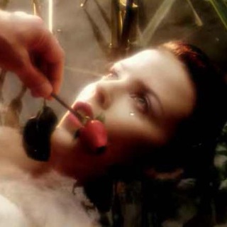 Логотип @theycallmethewildrose_chat - They call me the wild 🌹 Chat