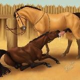 Логотип @theyiffypadocksppn - The yiffy paddock (The Stallion's Play Place)