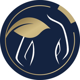 Логотип @thinkmeta_health_wellness - АЭК Health&Wellness