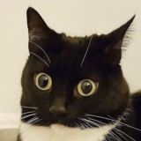 Логотип @thisismysecondjob - Это моя работа