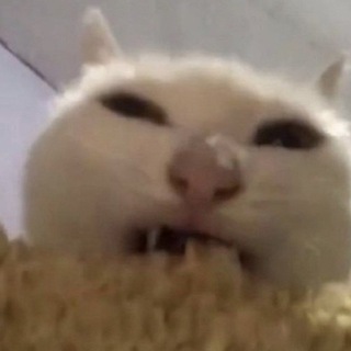 Логотип @thismanatemysonn - кооператив озеро🌲