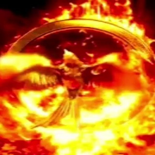 Логотип @thisnotartaria - THIS IS NOT TARTARIA - TRUTH CHANNEL