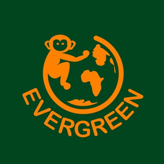 Логотип @thnknevergreen - 𝑬𝒗𝒆𝒓𝑮𝒓𝒆𝒆𝒏