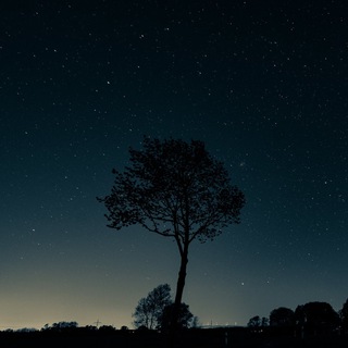 Логотип @thomasquetes - Цитаты