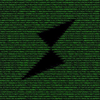 Логотип @thorchain_dev - THORChain DEV