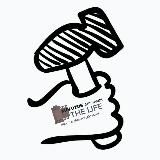 Логотип @thoughts_style_life - Цитаты. Факты. Исследования. Юмор