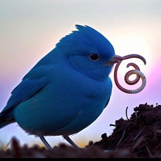 Логотип @threads_dvizh - Threads|Дvиж Экsперта