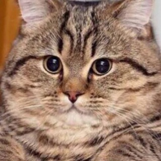 Логотип @threebio - Три Био