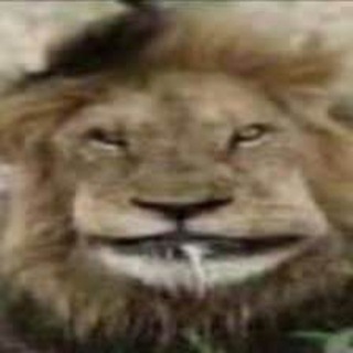 Логотип @thugsomsk - thugs