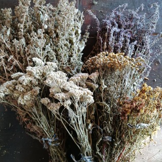 Логотип @tibet_med - ТРАВЫ🌿🌱СПЕЦИИ, Натуропатия