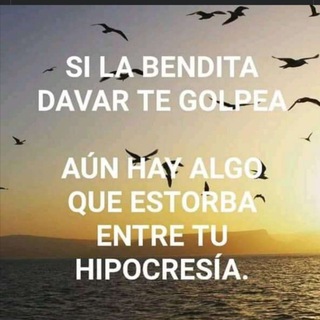 Логотип @tiemposmoedim - TIEMPO Moedim FINALES