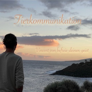 Логотип @tiergespraechebefreiedeinengeist - Kanal Tierkommunikation Vincent ✨ befreie-deinen-geist